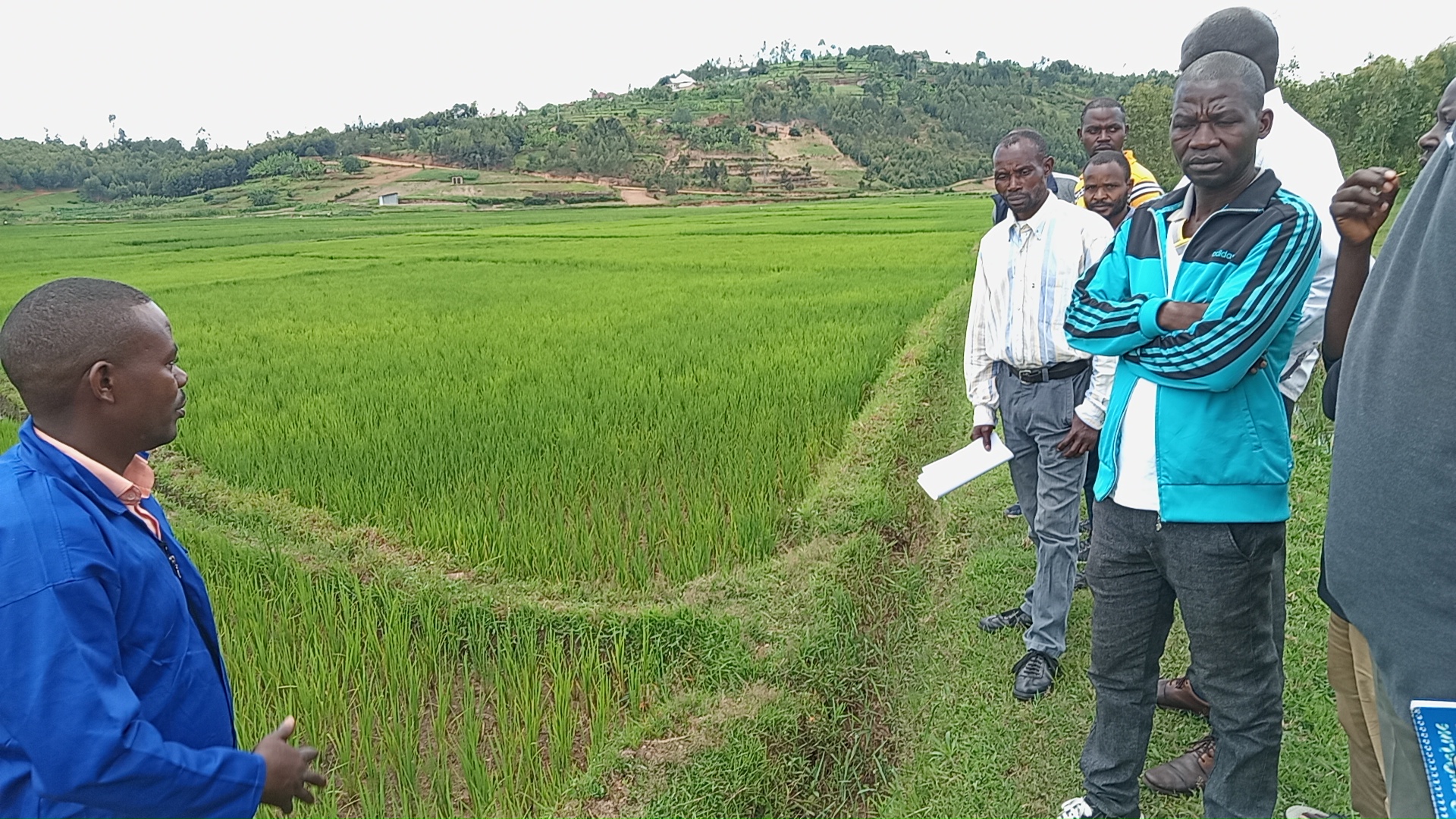 Agricultural project activity