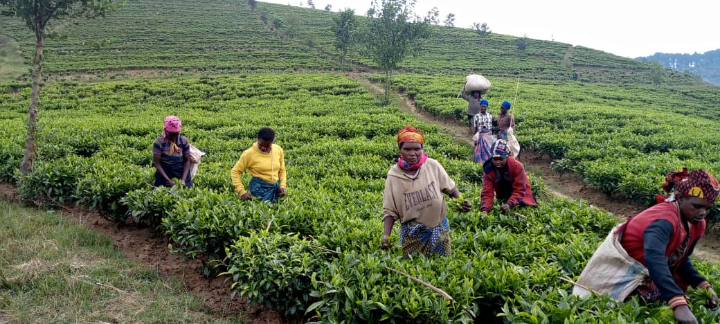 ADC officials at Agri-show